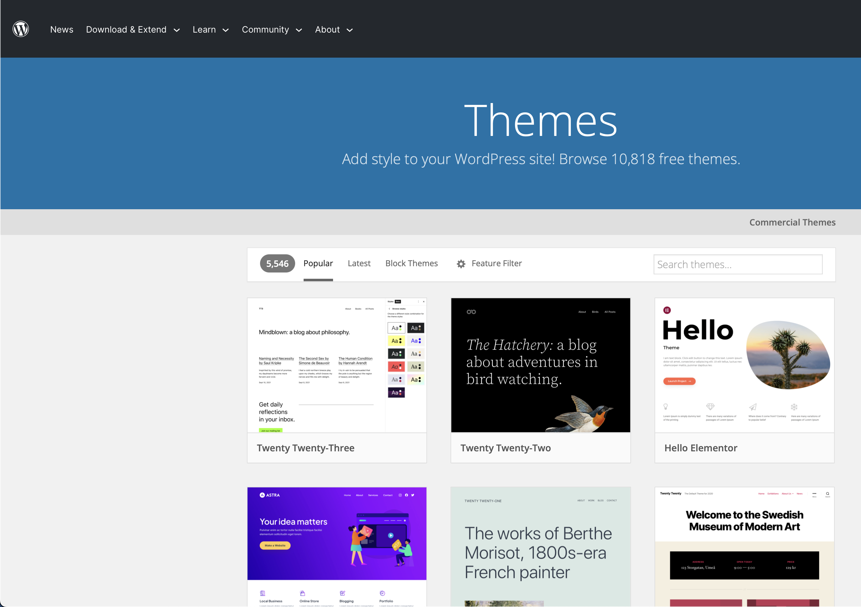 WordPress Themes